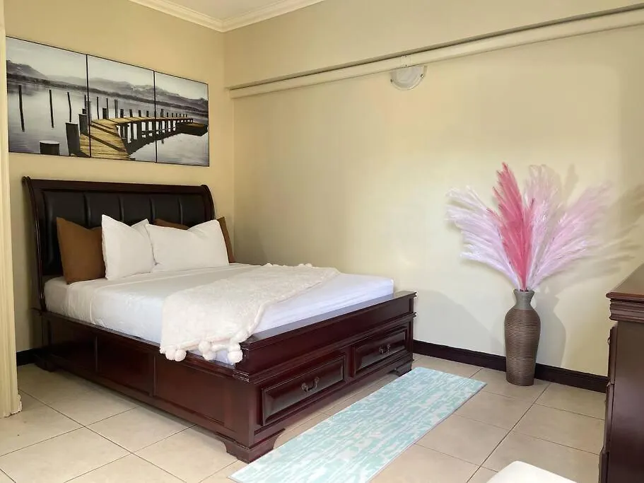 Apartment Elitestay At Casa De Barron Kingston